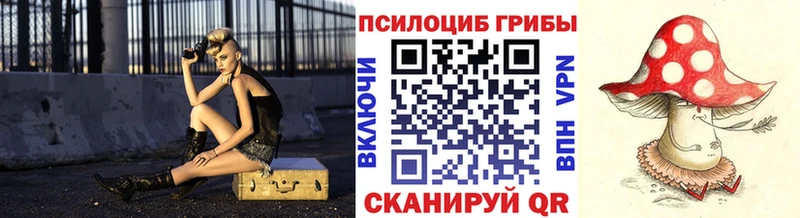 как найти   Сосновоборск  маркетплейс телеграм  Псилоцибиновые грибы прущие грибы 